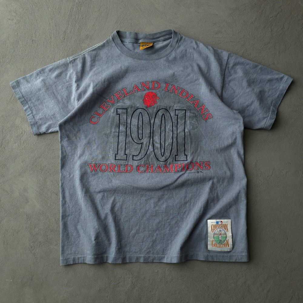 Vintage 90s Cleveland Indians T-shirt Large Blue MLB 1901 World Champs Nutmeg